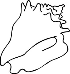 Sea shell natural beauty from ocean beach treasure collection. Summer time vacation mood. Aquarium exotic tropical decoration. Hand drawn boho retro vintage vector illustration. Old style line drawing