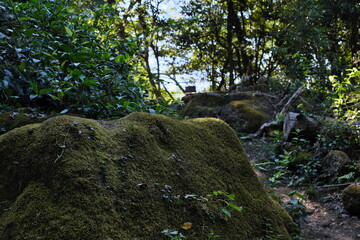 鋸山からの景色　View from Mt.Nokogiri
