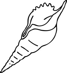 Sea shell natural beauty from ocean beach treasure collection. Summer time vacation mood. Aquarium exotic tropical decoration. Hand drawn boho retro vintage vector illustration. Old style line drawing