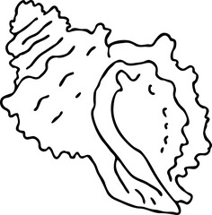 Sea shell natural beauty from ocean beach treasure collection. Summer time vacation mood. Aquarium exotic tropical decoration. Hand drawn boho retro vintage vector illustration. Old style line drawing