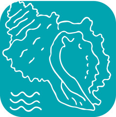 Sea shell natural beauty from ocean beach treasure collection. Summer time vacation mood. Aquarium exotic tropical decoration. Hand drawn boho retro vintage vector illustration. Old style line drawing