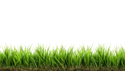 Foto op Plexiglas green grass isolated on transparent background cutout © Papugrat