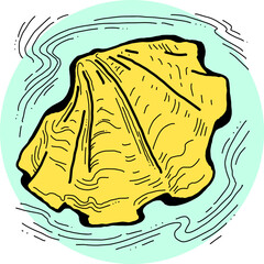 Sea shell natural beauty from ocean beach treasure collection. Summer time vacation mood. Aquarium exotic tropical decoration. Hand drawn boho retro vintage vector illustration. Old style line drawing