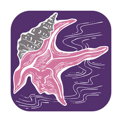 Sea shell natural beauty from ocean beach treasure collection. Summer time vacation mood. Aquarium exotic tropical decoration. Hand drawn illustration. Line drawing.