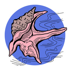 Sea shell natural beauty from ocean beach treasure collection. Summer time vacation mood. Aquarium exotic tropical decoration. Hand drawn illustration. Line drawing.