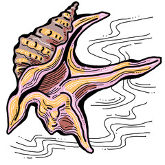 Sea shell natural beauty from ocean beach treasure collection. Summer time vacation mood. Aquarium exotic tropical decoration. Hand drawn illustration. Line drawing.