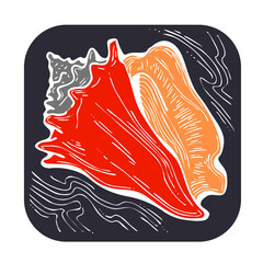 Sea shell natural beauty from ocean beach treasure collection. Summer time vacation mood. Aquarium exotic tropical decoration. Hand drawn illustration. Line drawing.