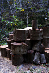 deforestation. bars of cut wood in the forest.