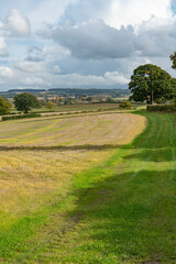 Looking across typical rolling English Cotswold landscape towards a church in the middle distance - 669190571