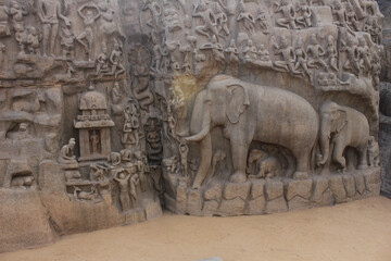 Stone Sculpture of Elephant in Mahabalipuram World Heritage Center