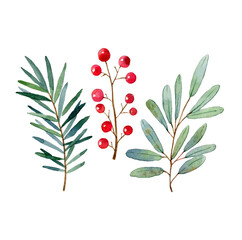 Watercolor hand drawn christmas decorations, with coniferous branches and red berries. Can be use as print, postcard, invitation, greeting card, element design, labels, tags, packaging design, textile