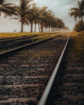 railway tracks by the beach in Sri Lanka.