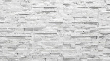 White brick wall background.