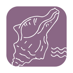 Sea shell natural beauty from ocean beach treasure collection. Summer time vacation mood. Aquarium exotic tropical decoration. Hand drawn illustration. Line drawing.