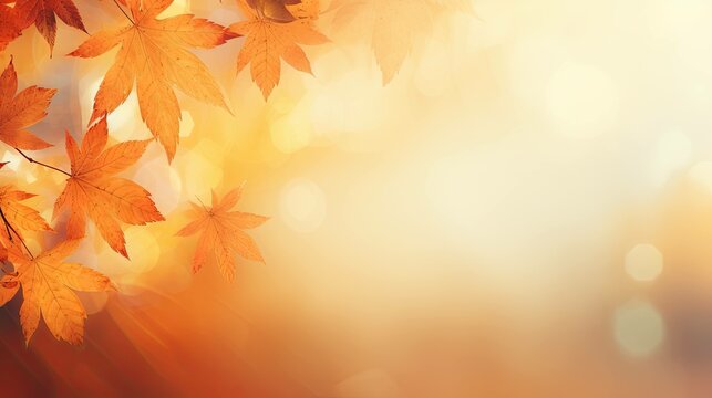 Natural light autumn background with yellow leaves and blurred bokeh