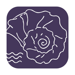 Sea shell natural beauty from ocean beach treasure collection. Summer time vacation mood. Aquarium exotic tropical decoration. Hand drawn illustration. Line drawing.