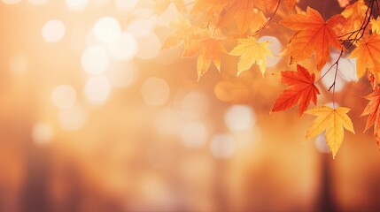 Naklejka na ściany i meble Colorful universal autumn forest orange leaves with a blurred background