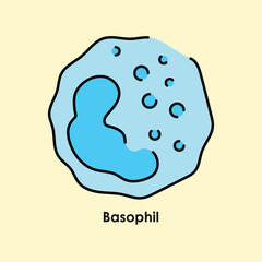 Basophil color icon. White blood cells in the blood vessels.