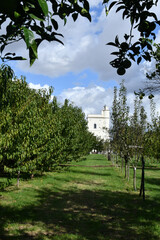 An 8th century tower within the gardens of the royal palace in Naples, Italy.