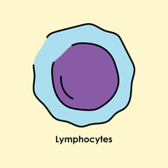 Lymphocytes color icon. White blood cells in the blood vessels.