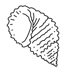 Sea shell natural beauty from ocean beach treasure collection. Summer time vacation mood. Aquarium exotic tropical decoration. Hand drawn illustration. Line drawing.
