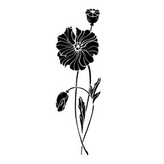 Silhouette, doodle of a wild poppy flower. Vector graphics.