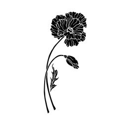 Silhouette, doodle of a wild poppy flower. Vector graphics.