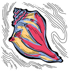 Sea shell natural beauty from ocean beach treasure collection. Summer time vacation mood. Aquarium exotic tropical decoration. Hand drawn illustration. Line drawing.