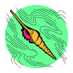 Sea shell natural beauty from ocean beach treasure collection. Summer time vacation mood. Aquarium exotic tropical decoration. Hand drawn illustration. Line drawing.