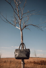 leather bag on the old tree in the steppe