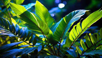 tropical leaves illuminated with blue and green
