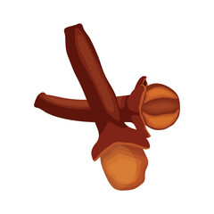 Vector illustration various view of spice dried clove in flat style. Cartoon spice scientific name Syzygium aromaticum for ingredients. Healthy agricultural organic product. Icon or label.