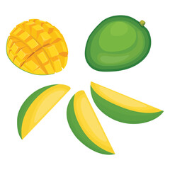 Vector illustration yellow ripe mango in flat style design. Exotic tropical fruit, whole, sliced and chopped. Agricultural organic food product. Healthy and fresh Mangifera indica label or icon.