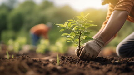 Person planting trees or working in community garden promoting local food production and habitat restoration, concept of Sustainability and Community Engagemen