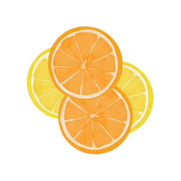 Rodajas de naranjas y limones partidos. Limón y naranja partido en rodajas. Piezas cortadas de fruta. Fruta tropical naranja y amarilla. Cítrico. Ilustración sin fondo.

