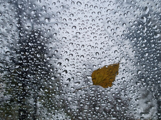 Autumn mood. Longing and depression. Yellow autumn leaf and raindrops on glass. Selective focus - 669229188
