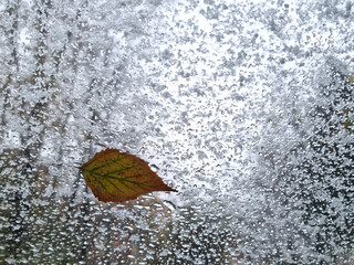 Autumn mood. Longing and depression. Yellow autumn leaf and raindrops and snow on glass. Selective...