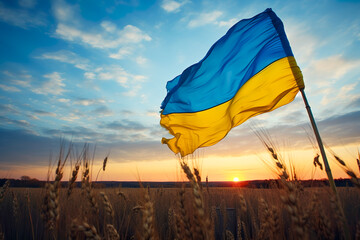 Ukrainian flag in a field at sunset