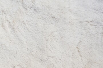 white fur texture background