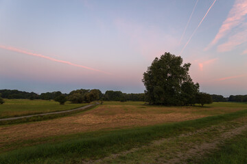 Beautiful autumn landscape at sunrise. Clearing fog. Pohansko Czech Republic Europe