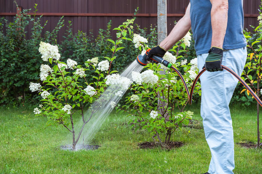 Man is watering garden. High quality photo