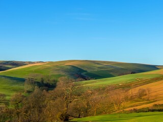 landscape with field and blue sky