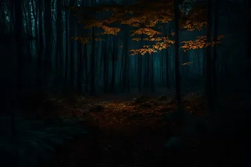 Fototapeten A realistic, eerie, and scary woodland at night © Osama