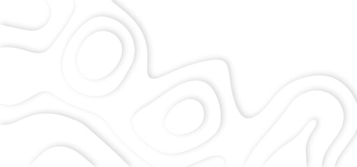 White abstract geometric pattern background, wave and curve abstract background. Abstract wavy line 3d paper cut white background.