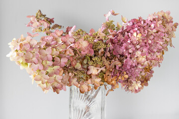 Dry Hydrangea, Pinky Winky, Quick Fire, Lime Lite in glass vase
