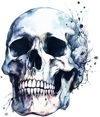 Skull Garden: Creative Watercolor Floral Skull PNG Art for Design Projects