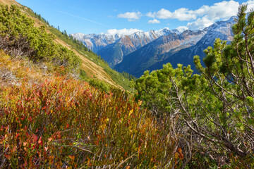 Herrliche herbstliche Berglandschaft im Zillertal in Tirol