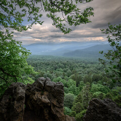 View of a mountain landscape through tree branches