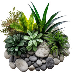 Fototapeta premium Lush green plants arranged with natural stones. A serene miniature garden isolated on a white background.