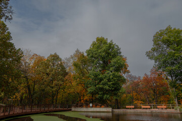 Fall Pond